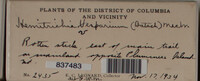 Image Associated With the Occurence